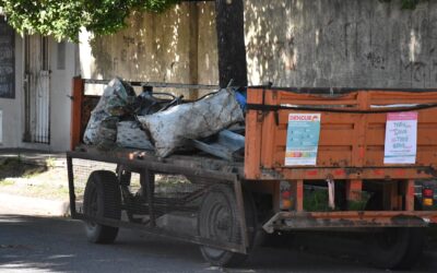 CON EL CALOR Y LOS PRIMEROS MOSQUITOS, DESDE ZOONOSIS MUNICIPAL RECUERDAN LAS MEDIDAS A TENER EN CUENTA PARA PREVENIR EL DENGUE