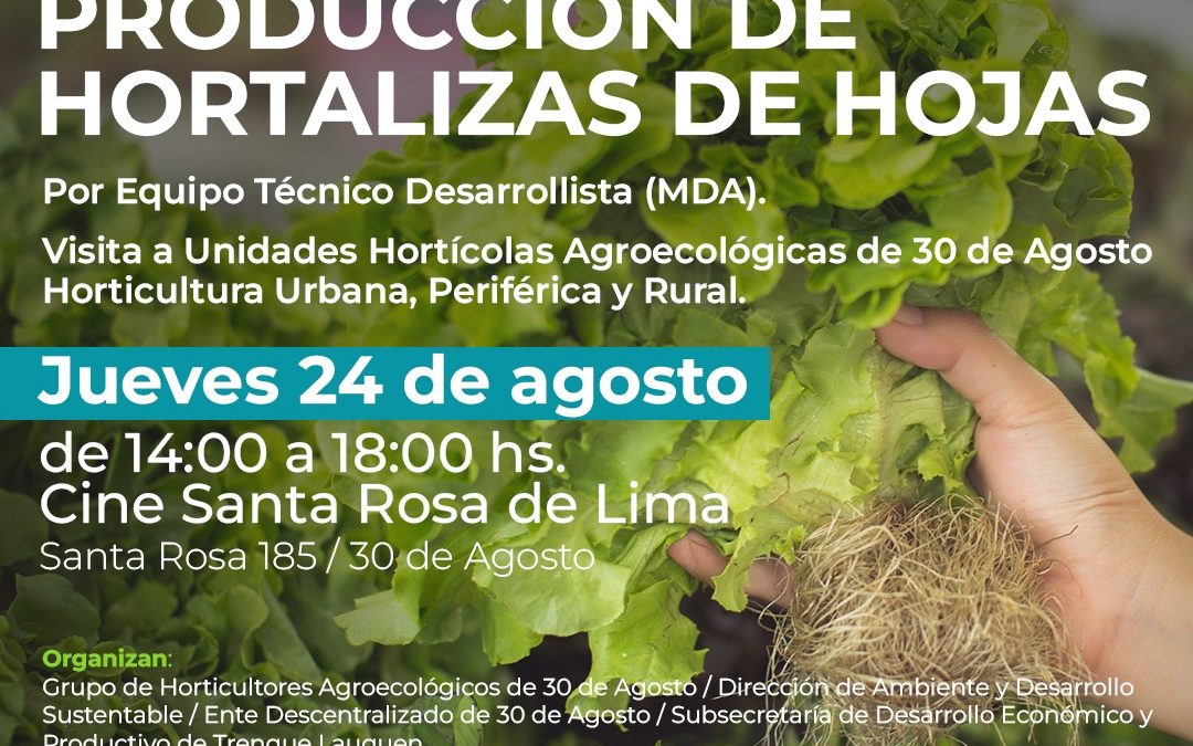 30 DE AGOSTO: EL JUEVES DE LA SEMANA PRÓXIMA (24) SE REALIZARÁ UNA CAPACITACIÓN EN PRODUCCIÓN DE HORTALIZAS DE HOJAS