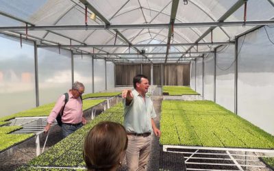 PRODUCTORES HORTÍCOLAS AGROECOLÓGICOS LOCALES PARTICIPARON EN GENERAL PICO, LA PAMPA, DEL TALLER “MANEJO DE CULTIVOS BAJO INVERNADERO”