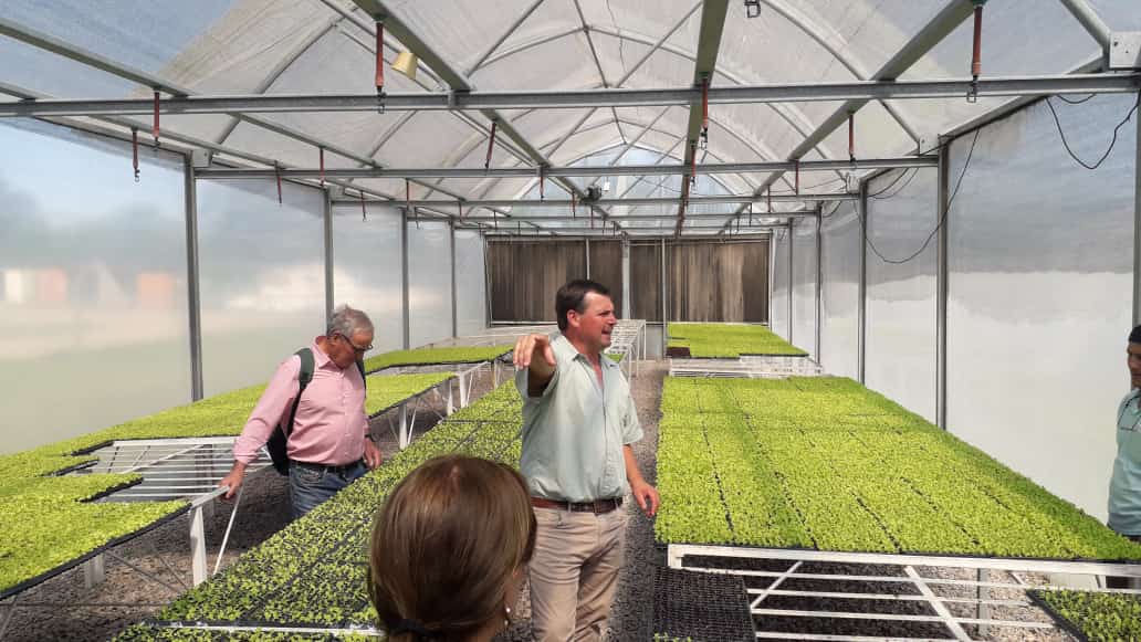 PRODUCTORES HORTÍCOLAS AGROECOLÓGICOS LOCALES PARTICIPARON EN GENERAL PICO, LA PAMPA, DEL TALLER “MANEJO DE CULTIVOS BAJO INVERNADERO”