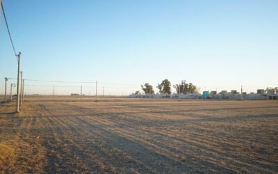 PROGRAMA MUNICIPAL MI LOTE: SE CONFORMARON DOS LISTADOS Y SE ABRE UN PERÍODO DE UNA SEMANA PARA COMPLETAR Y/O CORREGIR DATOS EN EL FORMULARIO DE INSCRIPCIÓN