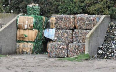 En mayo se vendió material reciclado por más de 60 mil pesos