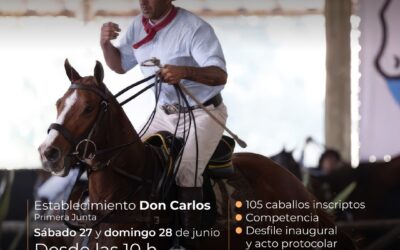SE REALIZARÁ UNA IMPORTANTE PRUEBA DE DOMA DE CABALLOS DE POLO, EL SÁBADO 27 Y DOMINGO 28 DE JUNIO, EN DON CARLOS, PRIMERA JUNTA
