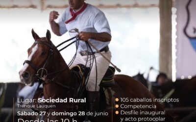 LA PRUEBA DE DOMA DE CABALLOS DE POLO SE REALIZARÁ EN EL PREDIO DE LA SOCIEDAD RURAL, EL SÁBADO 27 Y DOMINGO 28 DE JUNIO