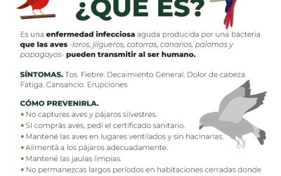 ZOONOSIS MUNICIPAL REITERA UNA SERIE DE RECOMENDACIONES Y PIDE ESTAR ALERTAS PARA EVITAR LA PSITACOSIS Y LA GRIPE AVIAR