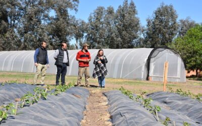 RECORRIDA POR EL VIVERO MUNICIPAL: HAY UN NUEVO ESTAQUERO Y SE INCORPORÓ UN INVERNÁCULO