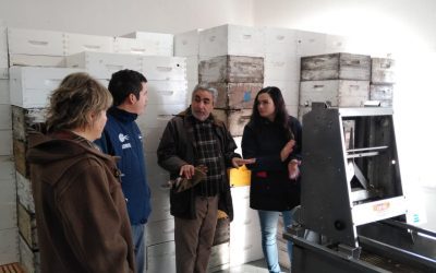 RECORRIDA DEL INTENDENTE FERNÁNDEZ POR EL SECTOR INDUSTRIAL PLANIFICADO: VISITÓ LAS EMPRESAS Y CONVERSÓ CON LOS EMPRENDEDORES