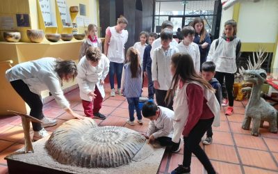 TRES ESCUELAS RURALES Y UN JIRIMM RECORRIERON EL MUSEO HISTÓRICO REGIONAL