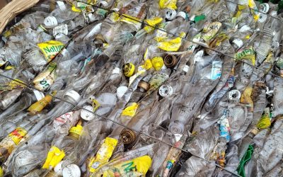 OTROS 86 MIL KILOS DE MATERIAL RECICLABLE FUERON RECUPERADOS EN EL SEGUNDO TRIMESTRE DEL AÑO