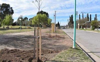 TREINTA DE AGOSTO: COMENZARON LOS TRABAJOS DE REFORESTACIÓN EN EL PARQUE MUNICIPAL “MARÍA LA INDIA ROCA”