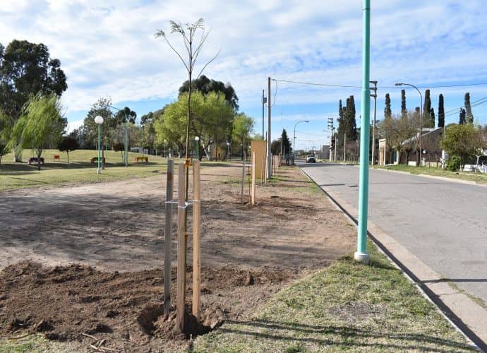 TREINTA DE AGOSTO: COMENZARON LOS TRABAJOS DE REFORESTACIÓN EN EL PARQUE MUNICIPAL “MARÍA LA INDIA ROCA”