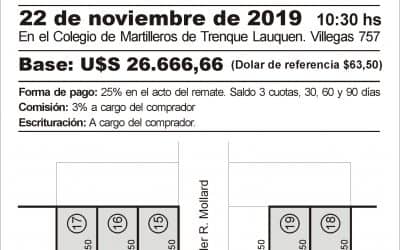 CUARTA SUBASTA: SALDRÁN A REMATE CINCO LOTES DE PROPIEDAD MUNICIPAL UBICADOS EN SAN MARTÍN Y MOLLARD