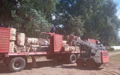 30 DE AGOSTO: EL ÁREA DE AMBIENTE DEL ENTE DESCENTRALIZADO COMERCIALIZÓ 11.725 KILOS DE MATERIAL RECICLABLE