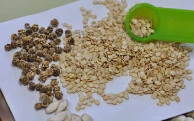 PRO HUERTA: TREINTA DE AGOSTO YA ENTREGA LAS SEMILLAS Y EL INTA LOCAL LO HARÁ DURANTE EL PRÓXIMO MARTES (8)