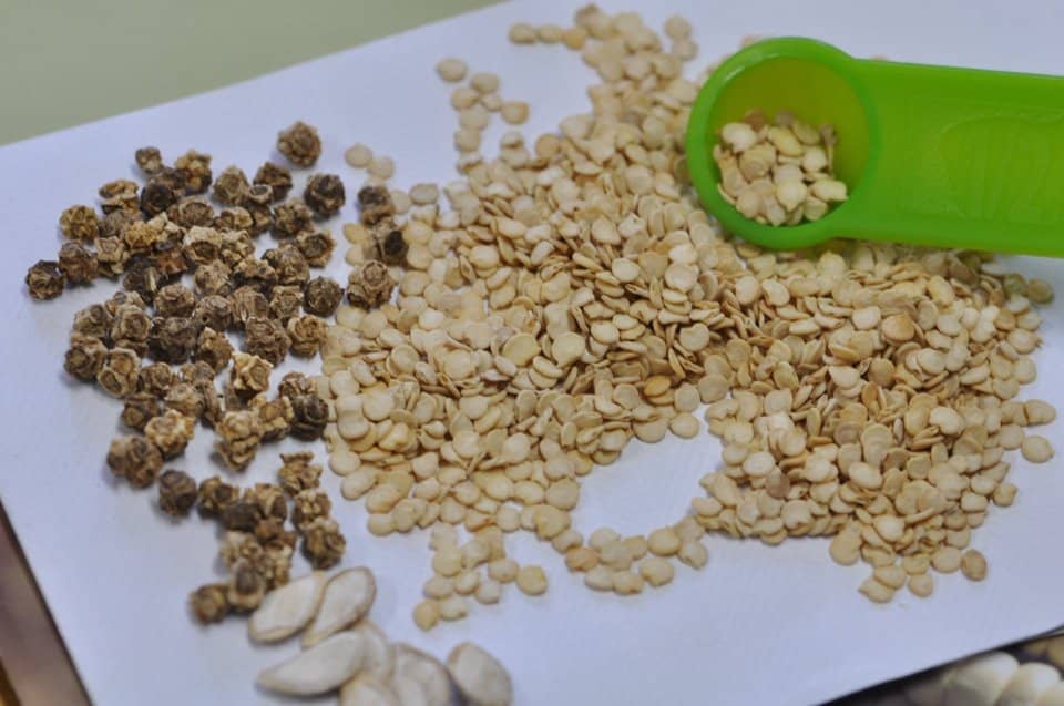 PRO HUERTA: TREINTA DE AGOSTO YA ENTREGA LAS SEMILLAS Y EL INTA LOCAL  LO HARÁ DURANTE EL PRÓXIMO MARTES (8)