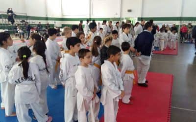 UNOS 120 COMPETIDORES PARTICIPARON EL SÁBADO DEL ENCUENTRO REGIONAL DE TAEKWONDO EN FERRO