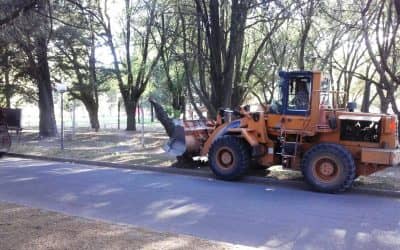 Retiro de tocones en el Barrio Parque