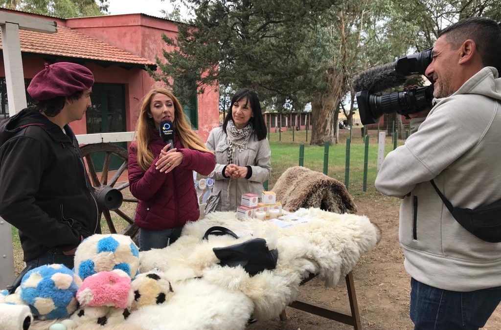 LA TV PÚBLICA NACIONAL ENTREVISTÓ AL DIRECTOR DE CULTURA POR LOS FESTEJOS DEL ANIVERSARIO DE LA CIUDAD Y VISITÓ LA CABAÑA “LAS MIL Y UNA”