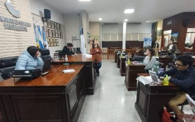 INSTITUCIONES POR LA IGUALDAD DE GÉNERO: SE REALIZÓ EL SEGUNDO TALLER EN EL HONORABLE CONCEJO DELIBERANTE