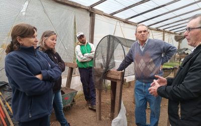 “INTRODUCCIÓN AL COMPOSTAJE”: SE REALIZÓ EL PRIMER TALLER EN TRENQUE LAUQUEN, BERUTI Y TREINTA DE AGOSTO, CON MUY BUENA RESPUESTA COMUNITARIA