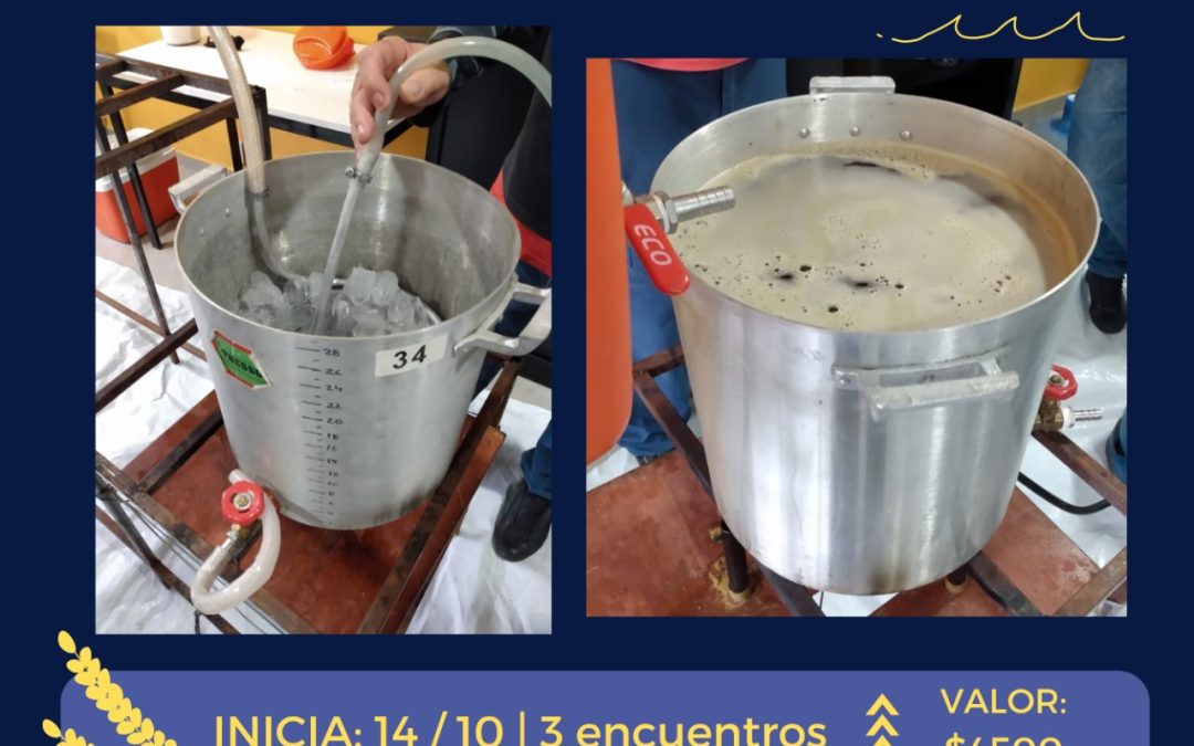 EL POLO CIENTÍFICO TECNOLÓGICO TIENE ABIERTA LA INSCRIPCIÓN PARA EL TALLER “LA CIENCIA DE LA CERVEZA”, QUE COMENZARÁ EL VIERNES 14 DE OCTUBRE