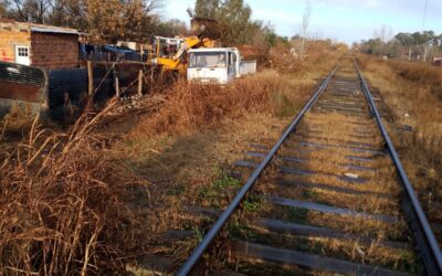 EL MUNICIPIO REALIZÓ TAREAS DE LIMPIEZA EN LA ZONA ALEDAÑA AL PASO A NIVEL DETRÁS DEL BARRIO LA LONJA, A PARTIR DE UN TRABAJO CONJUNTO DE DISTINTAS ÁREAS