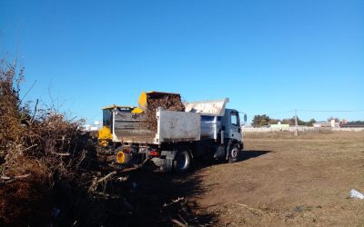 EL MUNICIPIO ESTÁ REALIZANDO TAREAS DE LIMPIEZA EN CALLE TALA, FRENTE AL INGRESO A LA AMPLIACIÓN URBANA