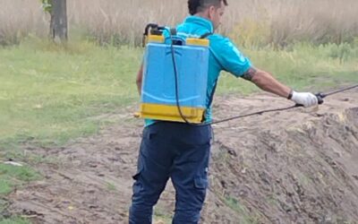 TÉCNICOS DE PROVINCIA ESTÁN HOY (MIÉRCOLES) EN TRENQUE LAUQUEN COLOCANDO LARVICIDA EN ESPEJOS DE AGUA, Y PARA FUMIGAR EN ESPACIOS VERDES
