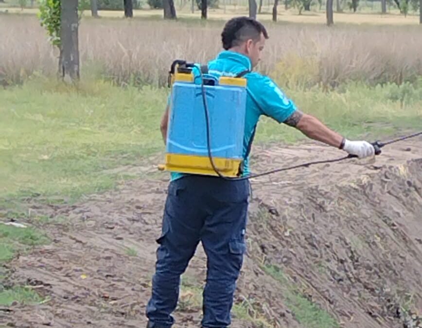 TÉCNICOS DE PROVINCIA ESTÁN HOY (MIÉRCOLES) EN TRENQUE LAUQUEN COLOCANDO LARVICIDA EN ESPEJOS DE AGUA, Y PARA FUMIGAR EN ESPACIOS VERDES