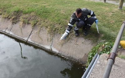 TÉCNICOS DE PROVINCIA ESTÁN HOY (JUEVES) EN TRENQUE LAUQUEN COLOCANDO LARVICIDA EN ESPEJOS DE AGUA EN FORMA PREVENTIVA Y PARA INTENSIFICAR LOS CONTROLES