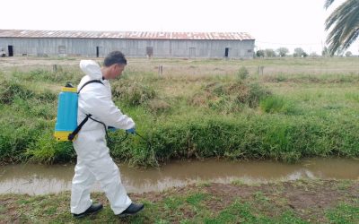 TÉCNICOS DEL MINISTERIO DE SALUD COMENZARON A TRABAJAR EN BERUTI Y SEGUIRÁN EN TRENQUE LAUQUEN, CON LA COLOCACIÓN DE LARVICIDAS
