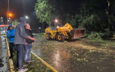 EL INTENDENTE FRANCISCO RECOULAT COORDINÓ UN MEGA OPERATIVO DE LIMPIEZA EN LAS CALLES DE LA CIUDAD