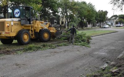 EL MUNICIPIO INTENSIFICÓ ESTA MAÑANA (VIERNES) LAS TAREAS DE LIMPIEZA Y ORDENAMIENTO DE LA CIUDAD DESPUÉS DEL FUERTE TEMPORAL DE VIENTO Y LLUVIA