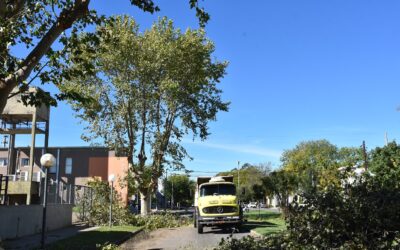 EL MUNICIPIO INICIÓ UN TRABAJO DE APERTURA DE COPA EN LOS PLÁTANOS UBICADOS SOBRE UNA DE LAS VEREDAS DEL HOSPITAL