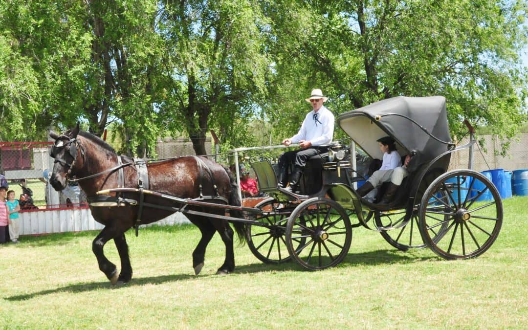 Fiesta de la Tradición en Atlético