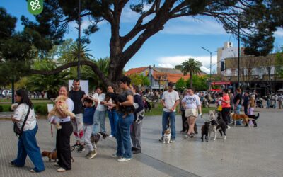 CON UNA MASIVA PARTICIPACIÓN DE LA COMUNIDAD SE DESARROLLÓ LA JORNADA DE CUIDADO RESPONSABLE DE MASCOTAS EN PLAZA SAN MARTÍN