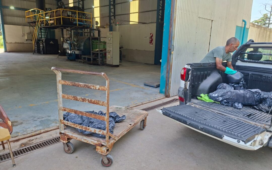 ZOONOSIS MUNICIPAL CONFIRMÓ UN CASO POSITIVO DE TRIQUINOSIS EN UN CERDO: SE TOMARON TODAS LAS MEDIDAS SANITARIAS CORRESPONDIENTES