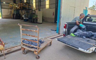 ZOONOSIS MUNICIPAL CONFIRMÓ UN CASO POSITIVO DE TRIQUINOSIS EN UN CERDO: SE TOMARON TODAS LAS MEDIDAS SANITARIAS CORRESPONDIENTES