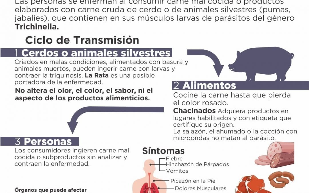 SE RECIBEN MUESTRAS PARA HACER ANÁLISIS DE TRIQUINOSIS, DE LUNES A SÁBADOS DE 7 A 9 HORAS, EN LA CASILLA BROMATOLÓGICA QUE FUNCIONA EN EL SECTOR INDUSTRIAL