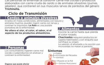 SE RECIBEN MUESTRAS PARA HACER ANÁLISIS DE TRIQUINOSIS, DE LUNES A SÁBADOS DE 7 A 9 HORAS, EN LA CASILLA BROMATOLÓGICA QUE FUNCIONA EN EL SECTOR INDUSTRIAL