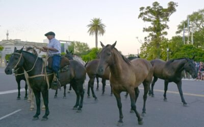 149º ANIVERSARIO: GRAN EXPECTATIVA POR LA PRUEBA CLASIFICATORIA A JESÚS MARÍA 2026 DE LAS TROPILLAS ENTABLADAS
