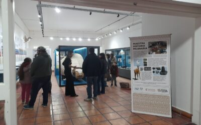 EL PÚBLICO ACOMPAÑÓ LA PROPUESTA “UNA NOCHE EN LOS MUSEOS” Y VISITÓ LOS DISTINTOS ESPACIOS PÚBLICOS Y PRIVADOS DEL DISTRITO