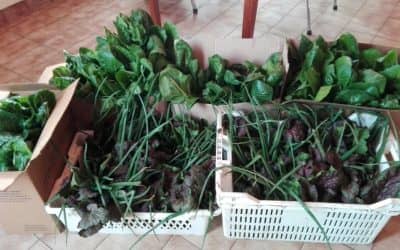 El Gancho aporta productos a la canasta alimentaria de Pami