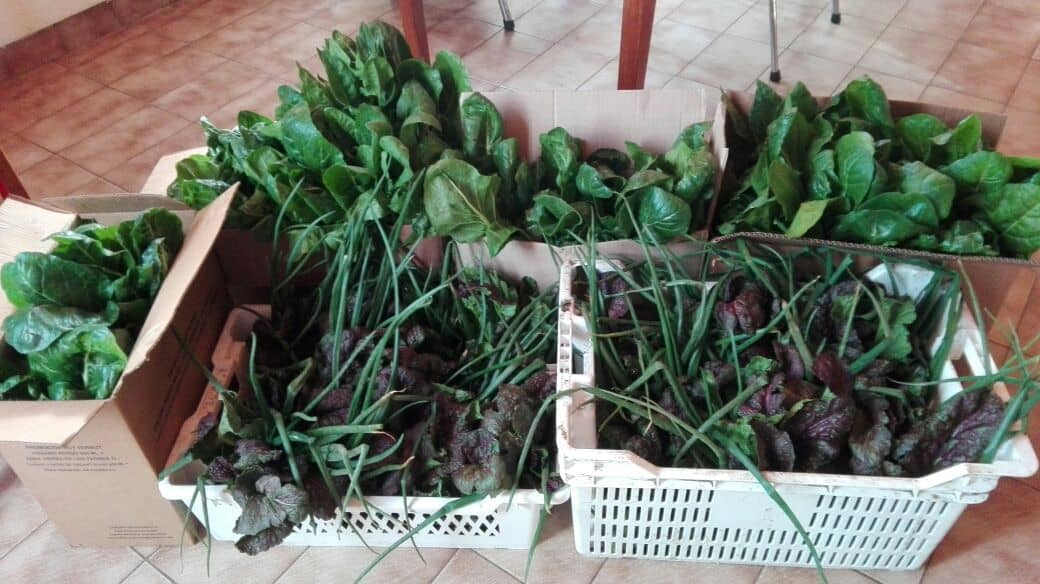 El Gancho aporta productos a la canasta alimentaria de Pami