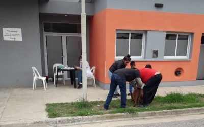 LA CAMPAÑA DE VACUNACIÓN ANTIRRÁBICA ITINERANTE LLEVA VACUNADAS 628 MASCOTAS EN SUS CUATRO PRIMERAS SALIDAS POR LOS BARRIOS