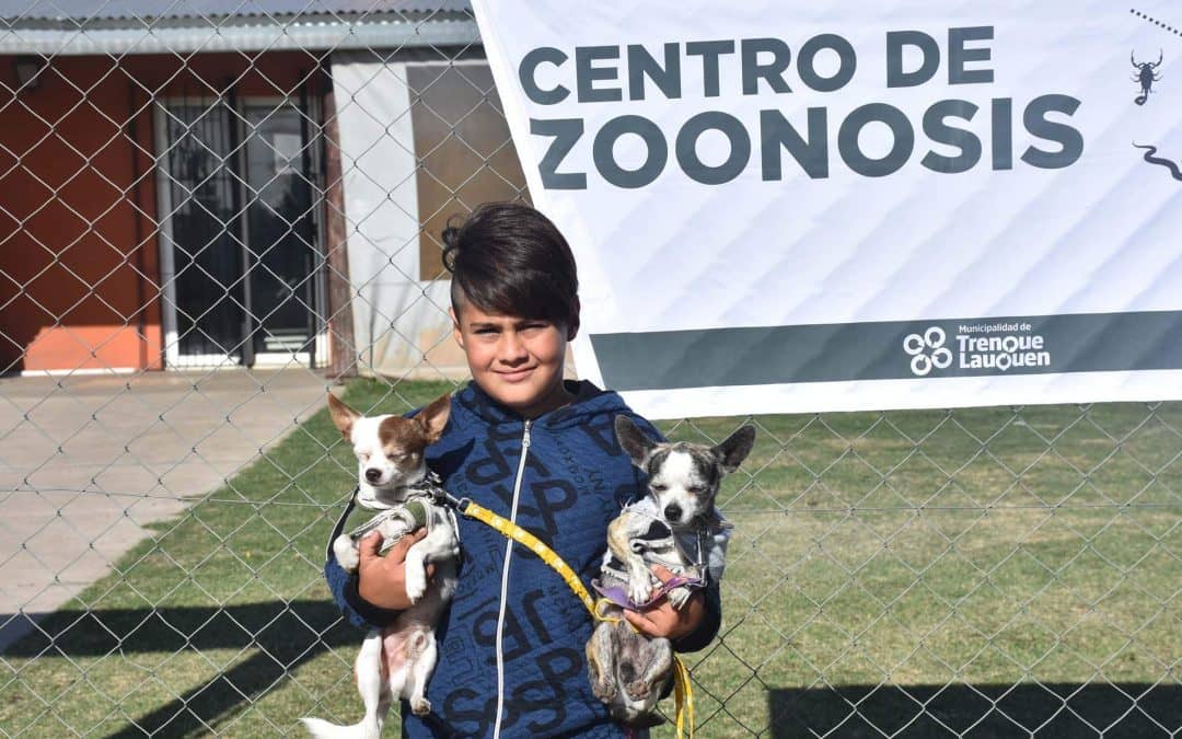 ZOONOSIS  SOLICITA A LOS VECINOS QUE VACUNEN A SUS MASCOTAS CONTRA LA RABIA, TRAS LA APARICIÓN DE UN CASO EN MERLO