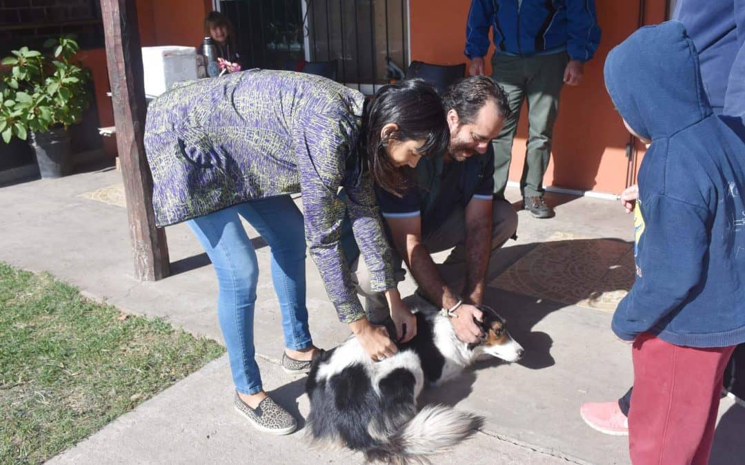 ZOONOSIS SUMA NUEVOS BARRIOS EN LA CAMPAÑA ITINERANTE DE VACUNACIÓN ANTIRRÁBICA DE MASCOTAS