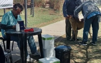 POR LAS POSTAS MÓVILES DE LA CAMPAÑA DE VACUNACIÓN ANTIRRÁBICA POR LOS BARRIOS YA PASARON 639 MASCOTAS: 521 PERROS Y 118 GATOS