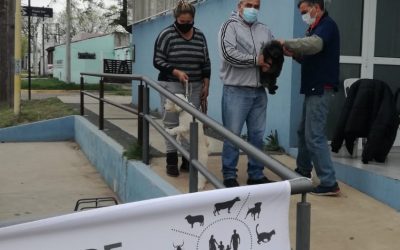 MÁS DE UN CENTENAR DE PERROS Y GATOS FUERON VACUNADOS CONTRA LA RABIA EN LA PRIMERA SALIDA DE ZOONOSIS EN SU CAMPAÑA ITINERANTE