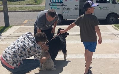 BARRIO FONAVI: POR LA POSTA MÓVIL DE LA CAMPAÑA GRATUITA DE VACUNACIÓN ANTIRRÁBICA PASARON OTRAS 113 MASCOTAS